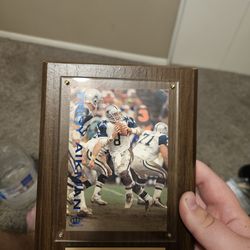Troy Aikman picture