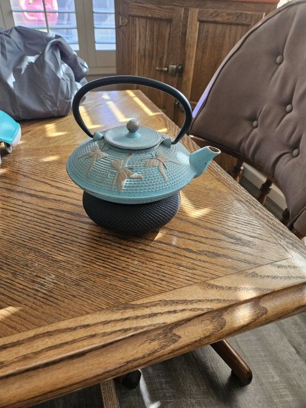 Tevana Cast Iron Tea Pot