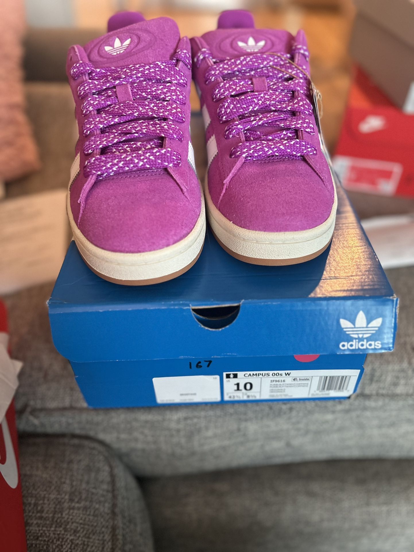Adidas Campus Brand New In Box