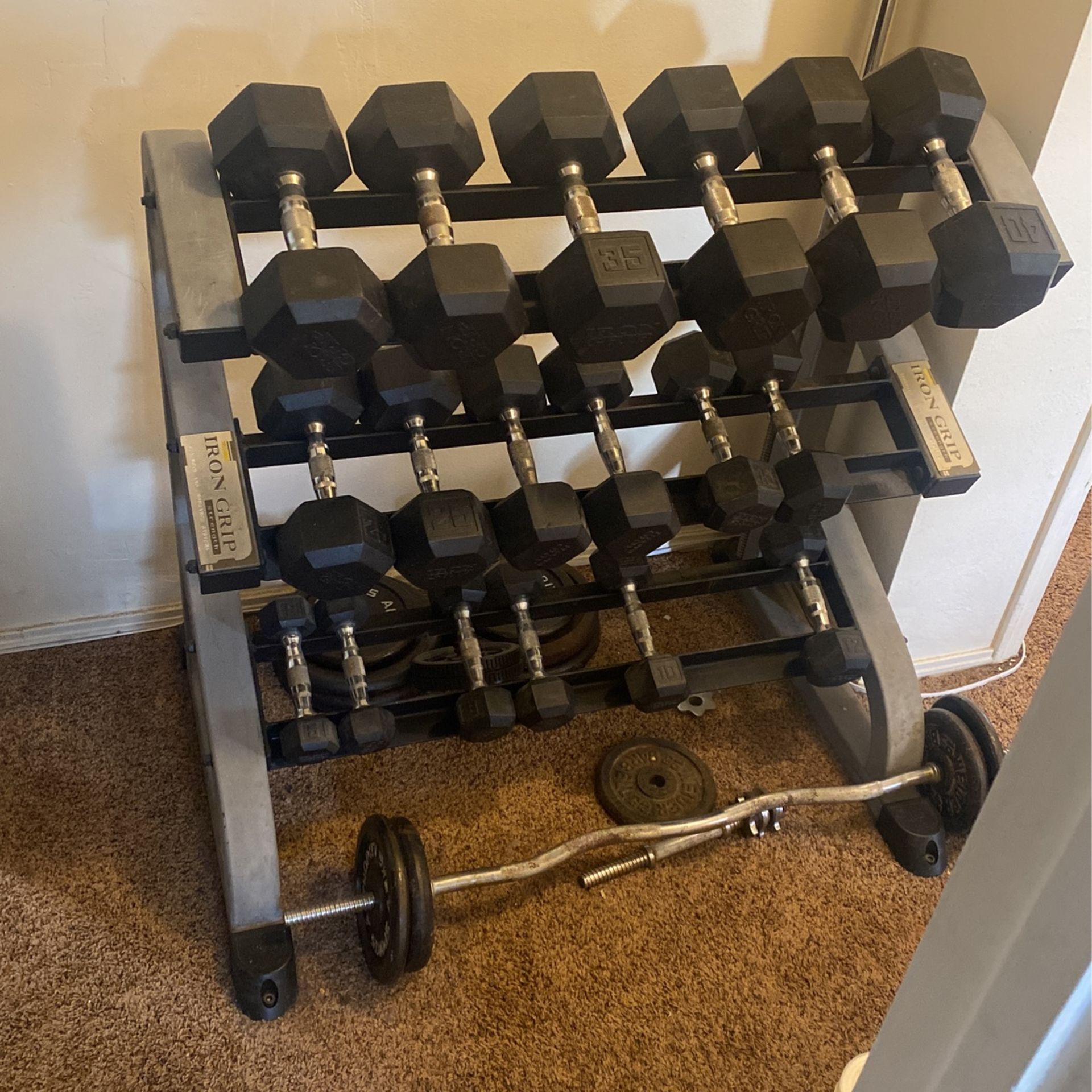 Iron grip Dumbbell Set Plus Rack