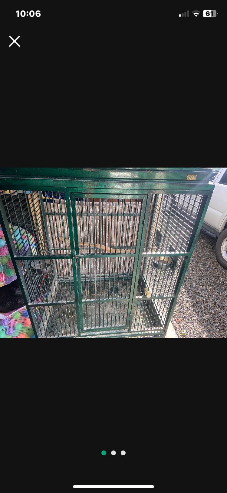 Bird Cage