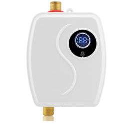 Tankless Water Heater Electric 110V Under Sink Small Hot Water Heater Instant On Demand for Kitchen Bathroom 3000W (White)
