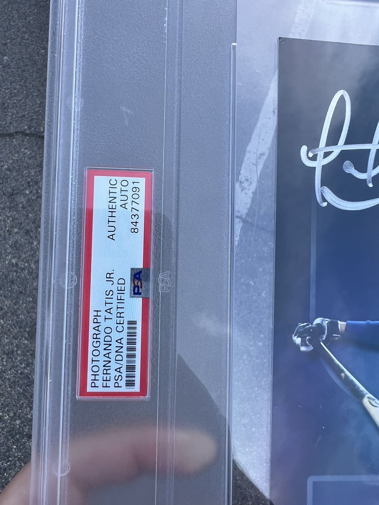 Authenticated Padres Tatis Jr. signed framed photo Collectibles