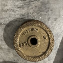 5 pound 1 inch barbell plates 