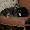 Bella-Skye