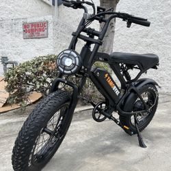 Fat tire electric bike for adults, 750W Motor 48v 15Ah Removable lareger battery double suspension