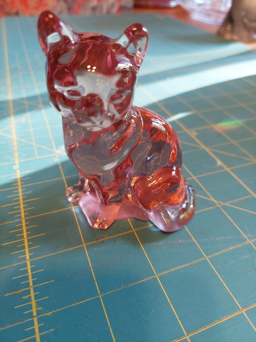 Fenton Cat