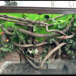Big Custom Reptile Cage 