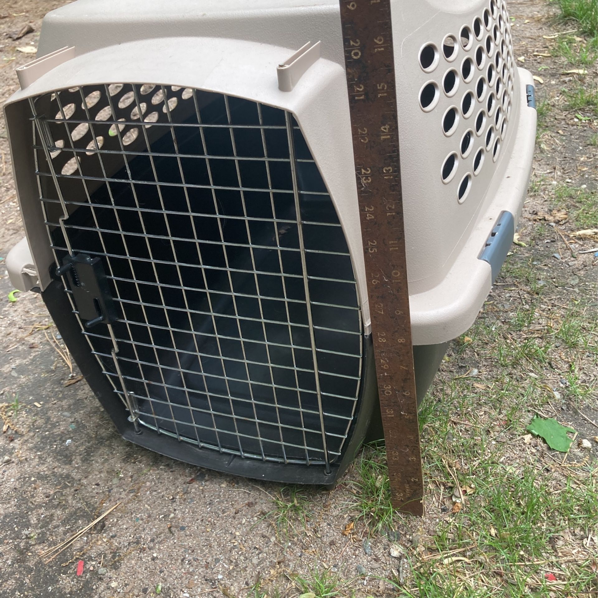 Pet Carry