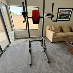 Weider Power Tower
