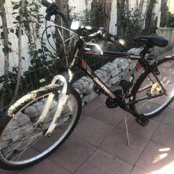 Three: Green Women’s Liv Simple Single Cruiser And Schwinn Ruler Bike In Excellent Condition, And 24” Wheel Multi-speed diamond