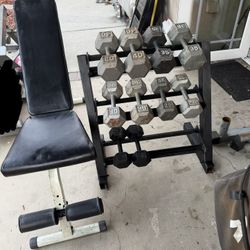 Dumbbells weights 20-40 plus rack and adjustable bench 300lbs total