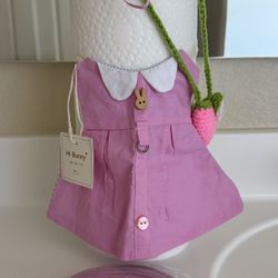 Adorable Outfit For Small Pet 