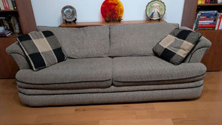 Sleeper Sofa with Love Seat