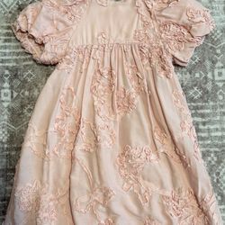 New Without Tag Pink Zara Dress