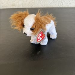 TY Beanie Baby Dog Named Regal 