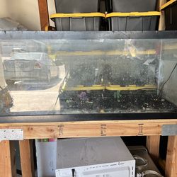 Fish tank 48 gallon