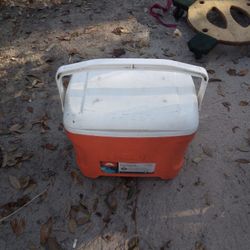 Cooler