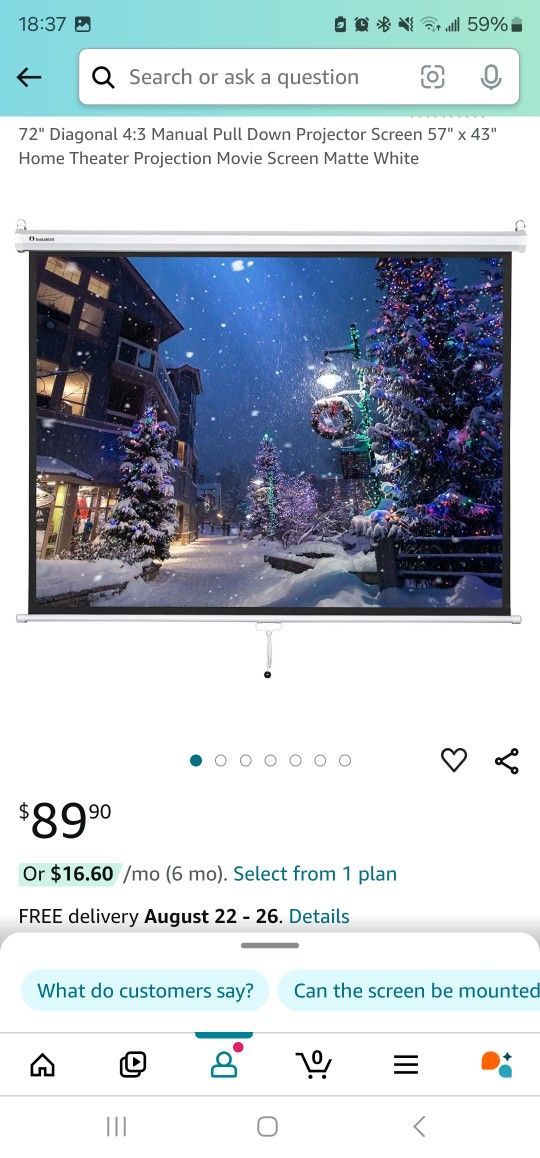 Projector Screen - 7 Foot