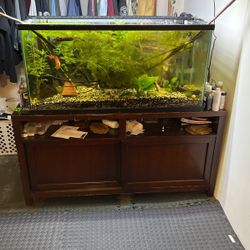 Fish Tank 80 Gal / Aquarium 