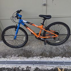 Raleigh Youth Bike