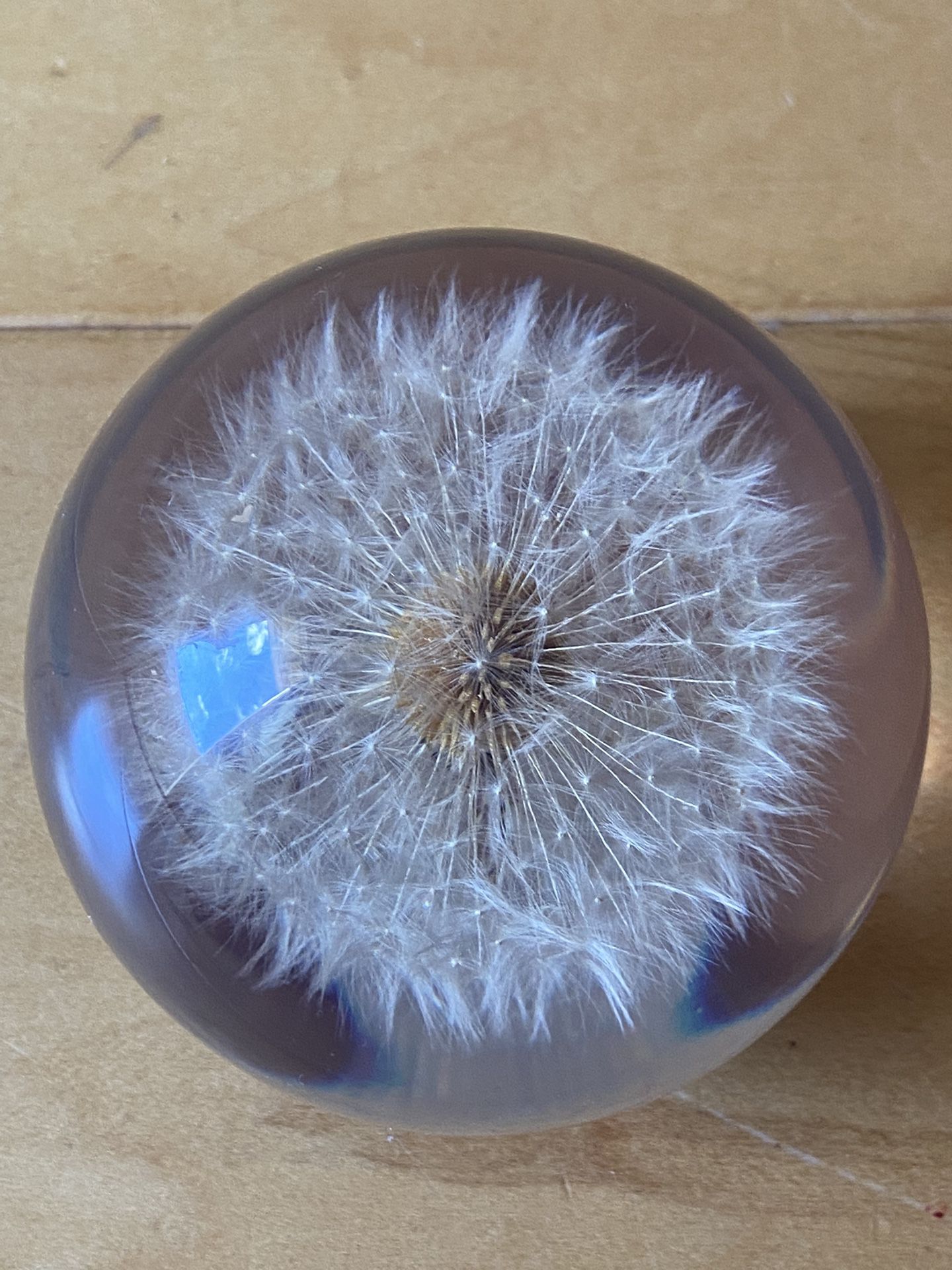 THE ORIGINAL COLLECTION 1993-VINTAGE/DANDELION IN CRYSTAL GLASS PAPERWEIGHT/DECOR (MADE IN GREAT BRITAIN)