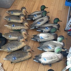 Duck Decoys