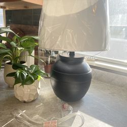 Moder Lamp