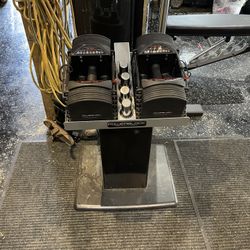Power Block With stand          Up To 55 Lbs Each 