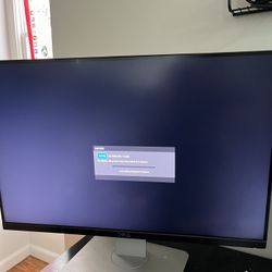 Dell 24” Monitor 