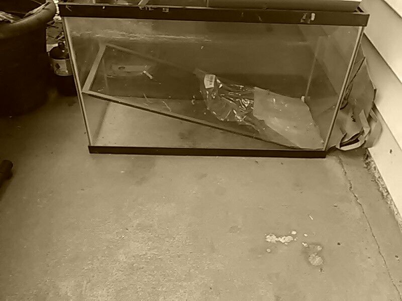 29 Gallon Fish Aquarium! In excellent condition!