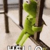 Yard Xmas Decoration