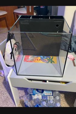 12 gallon Reef tank