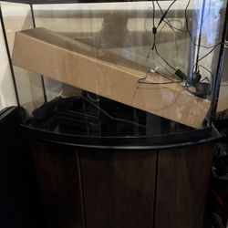 Fish Tank