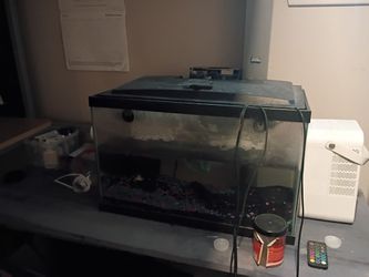 10Gallon Fish Tank