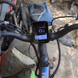 Aventine Electric Bike