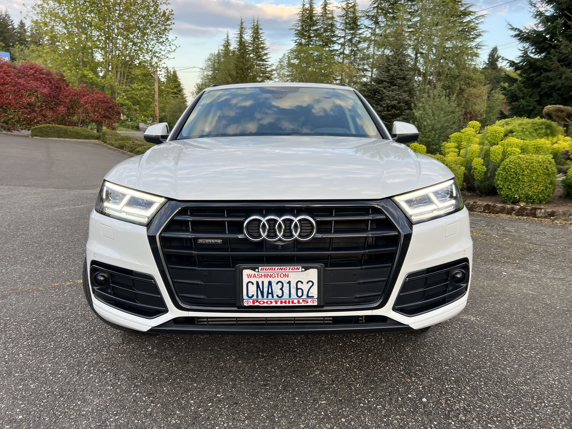 2019 Audi Q5