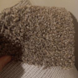 Stainmaster Carpet Bran New 12×9