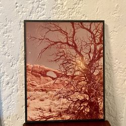 Retro Desert Arch Wall Art (11×14) – Vintage Mounted Print