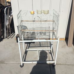 Bird Cage