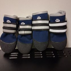 Dog Shoes Size M Pickup Between 2;00-11:00 Rainbow/charleston Cash Only 