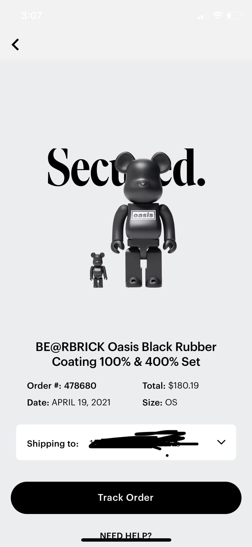 bearbrick oasis 100% & 400%