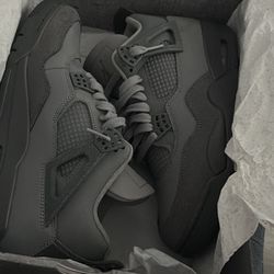 Air Jordan 4s Wet Cements