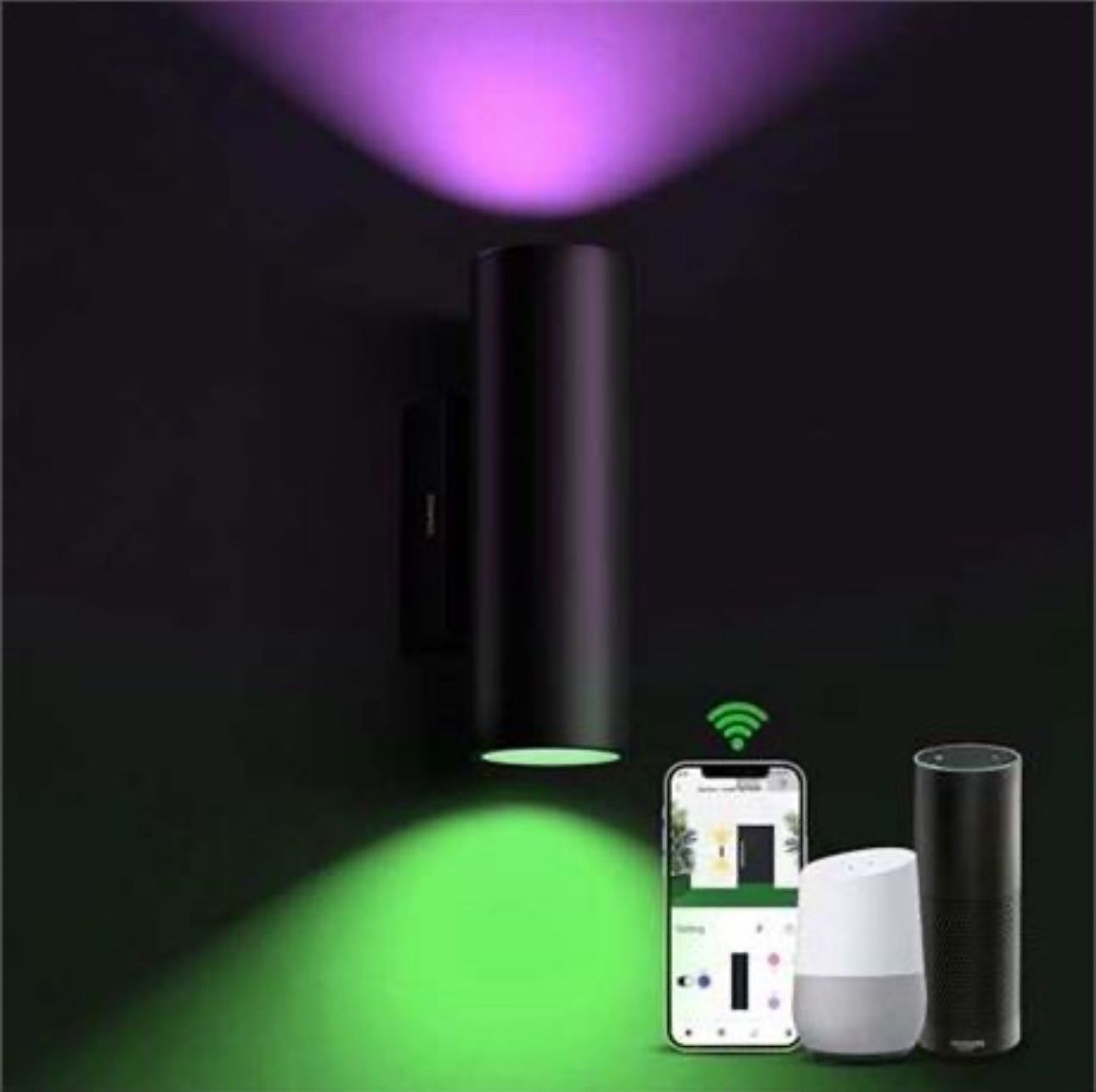 Smart Outdoor Light, Up/Down Wall Light, Alexa, Music Sync W/ App, 800LM Bright