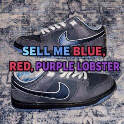 Nike SB dunk (Read description) 