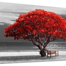 30" x 60" Black and White with Red Trees The Moon Framed Canvas Print Wall Art Décor ⭐NEW IN BOX⭐