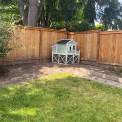 Chicken Coop 