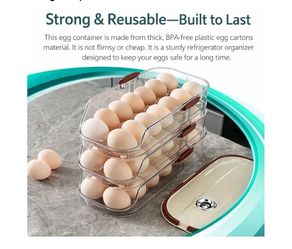 Egg organizer
