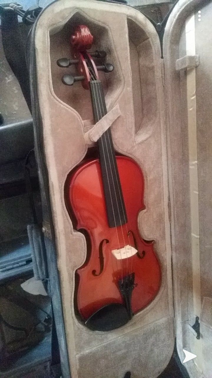 Violin