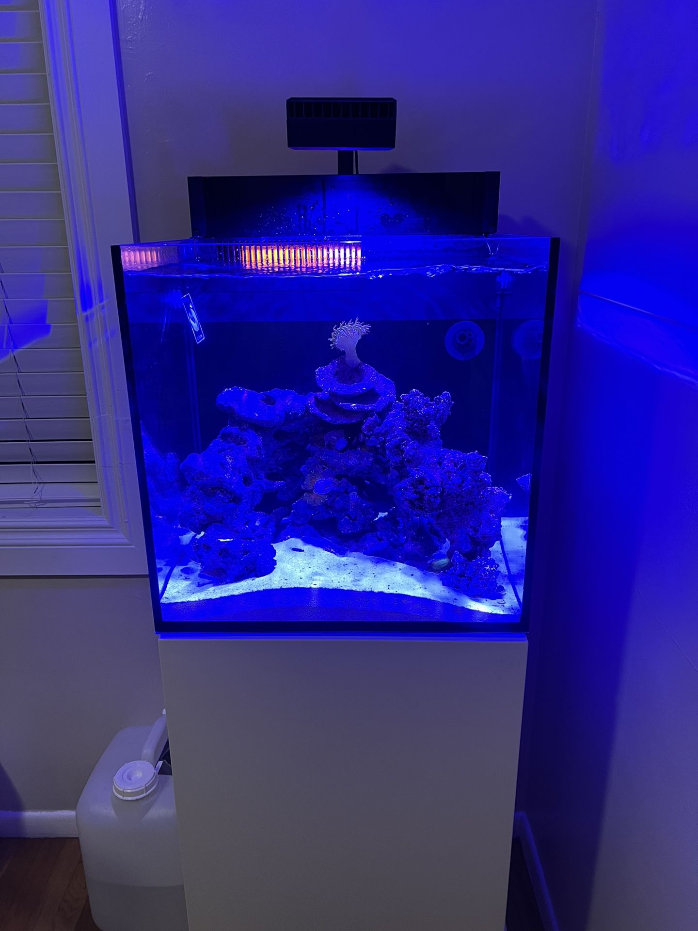Red Sea Max Nano 20G